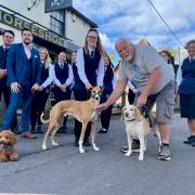 The Four Horseshoes in Nursling is launching its own dog walking club