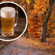 There are several nice autumn walks near Southampton with a pub stop on route