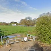 A dead deer found tied by its back legs to a tree in Eling Recreation Ground has sparked a police appeal