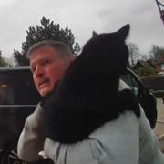 Plumber Scott Mckendry trying to catch the escaped cat