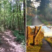 There are a few quality options for spring walks near Southampton