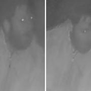 Police want to speak to a man, pictured, in connection with an attempted burglary in Silverlake Road, Southampton