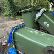 Southampton City Council leader Lorna Fielker says the bin collection service is improving