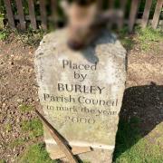 A severed deer's head has been found on a commemorative stone in the New Forest