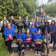 Solent NHS Trust has saluted Girl Guides' green-fingered support in creating a wellbeing garden at Western Community Hospital.