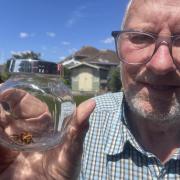 Rod Gates caught the European hornet in his home in Sholing