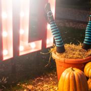 The council also advised buying Halloween outfits from well-known and trusted retailers