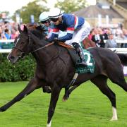 Calendar Girl winning at Doncaster (Nigel French/PA)