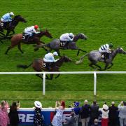 Naanas Shadow (right) is heading back to France (Mike Egerton/PA)