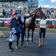Pina Sonata after winning at Doncaster (Chris Phillips/PA)