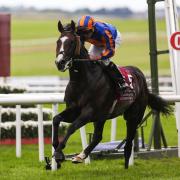 Scandinavia on his way to winning he Irish St Leger (Evan Treacy/PA)
