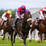 Coul Angel could turn out again quickly in the Ayr Gold Cup (Evan Treacy/PA)