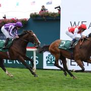 Al Nayyir winning the Lonsdale Cup (Richard Sellers/PA)