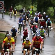Only 'a small number' of cycling events in the New Forest would be affected by a numbers cap according to the New Forest National Park Authority