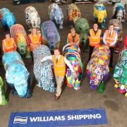 The William Shipping team pictured with the rhinos