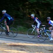 Cyclists in the New Forest
