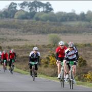 Wiggle cyclists in the New Forest at the weekend.