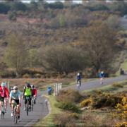 £2m cycling plans for Forest revealed