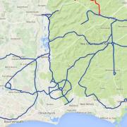 Cyclist 'draws a bike' in New Forest