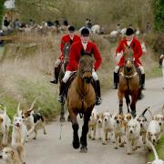 Fox hunting changes may come back to haunt