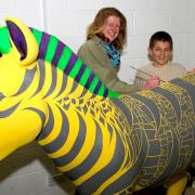 Youngster's artwork to grace Zany Zebras
