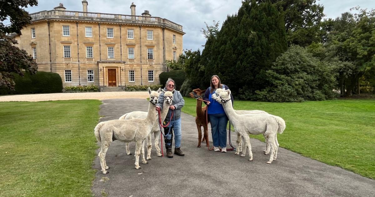 New Forest attraction launches busy summer schedule with lower admission prices