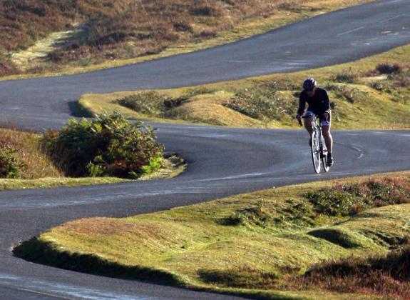 Daily Echo: Andy Bissell cycling in the New Forest Daily Echo: Andy Bissell cycling in the New Forest