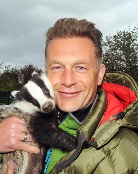 Packham and badgers