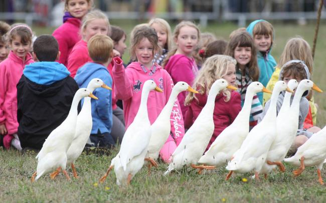 The Quack Pack entertain young visitors to the show