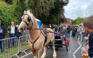 Wickham Horse Fair 2022