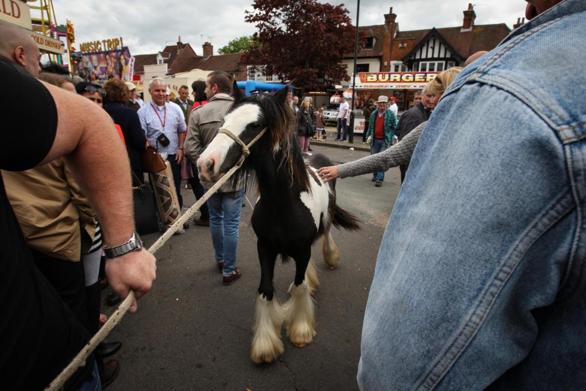 Wickham Horse Fair