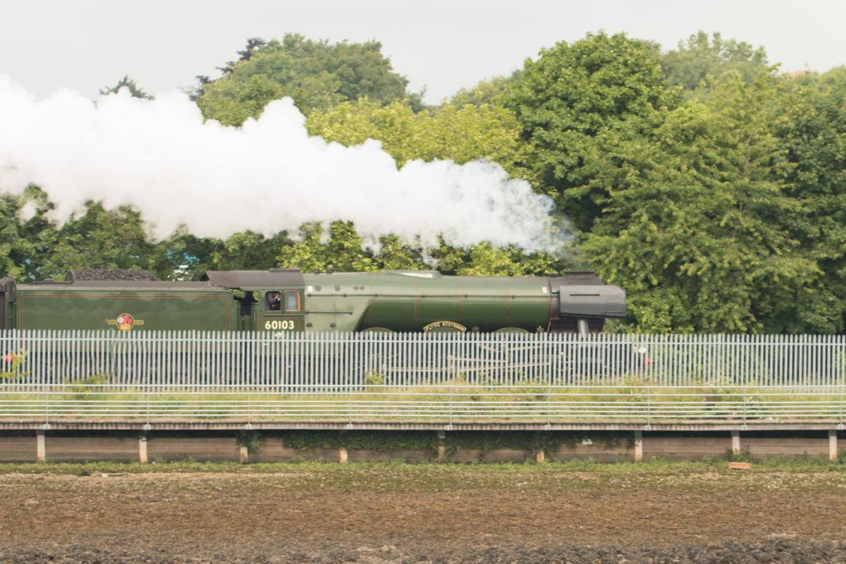 The Flying Scotsman passing the River Itchen. Daily Echo Camera Club Mike Line.