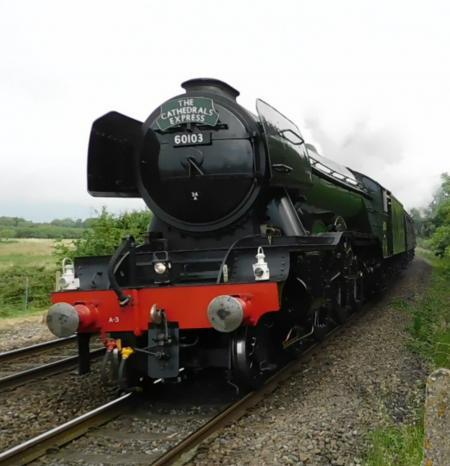 The Flying Scotsman near Test Lane. Photo by Reece Scammell